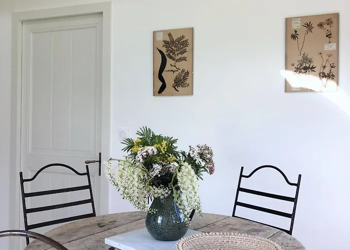 D'hotes Lou Viradis Bed & Breakfast Saint-Aigne